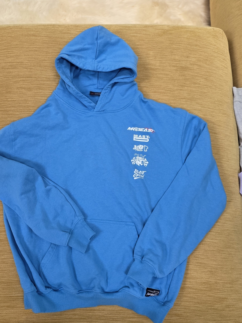 Mr. Beast Large Blue Graphic Pullover Hoodie - Men's Casual Hoodie